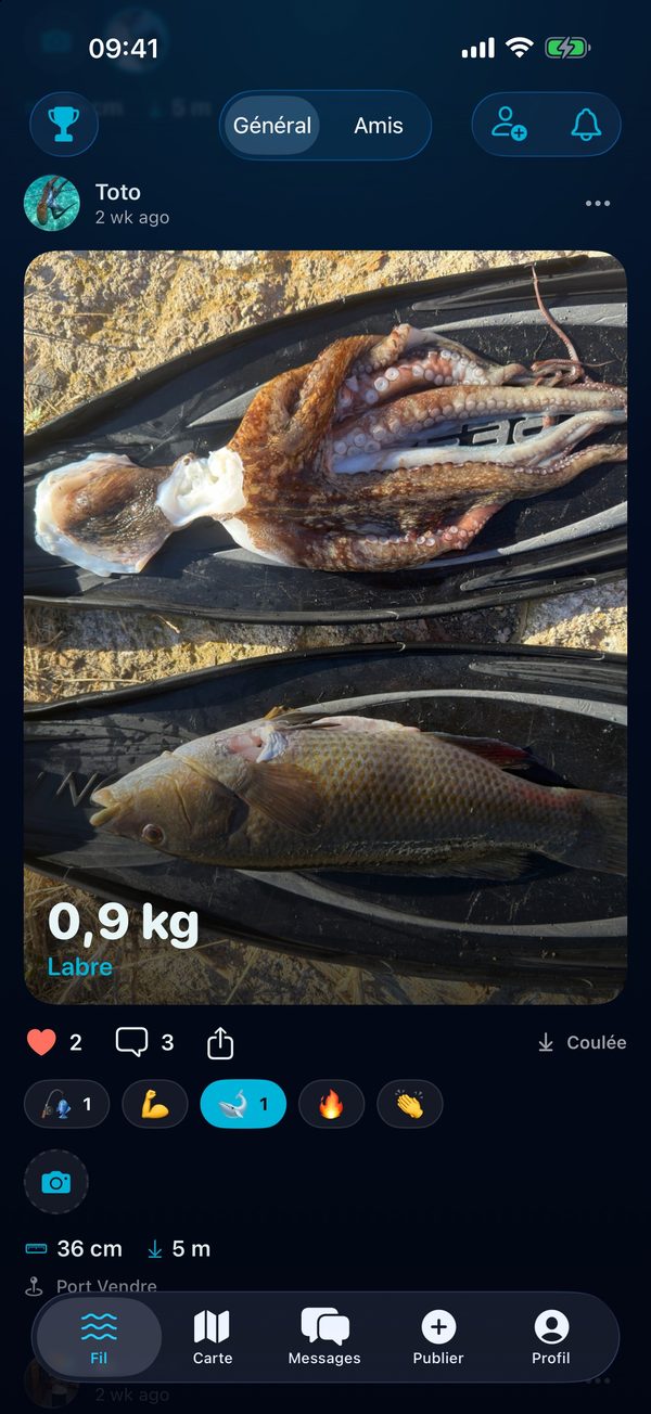BeFish : fil des prises
